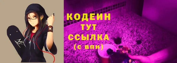 тгк Абаза