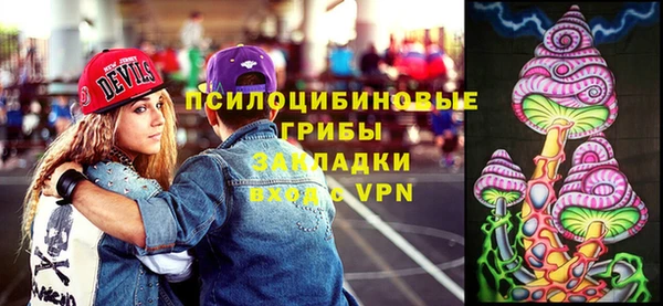 дмт Алексеевка
