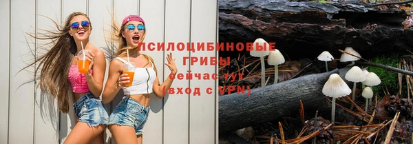 дмт Алексеевка